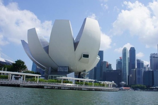 Private Full Day Singapore Highlights Tour - Tour Overview