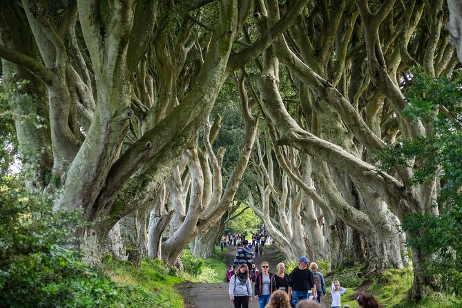 Private Giants Causeway Tour From Belfast