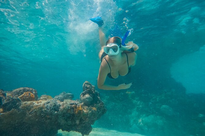 Private Half Day Luxury Snorkeling Charter