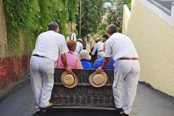 Private Half Day Madeira Tour (Mercedes Viano/Vito)