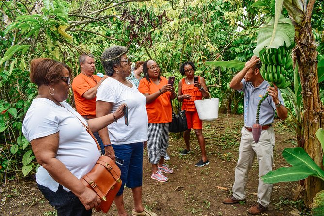 Private Higuey Cultural Tour From Punta Cana (Half-Day)