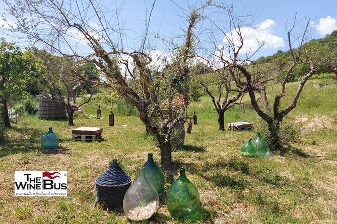 Private Irpinia Wine Tour From SORRENTO With Sommelier