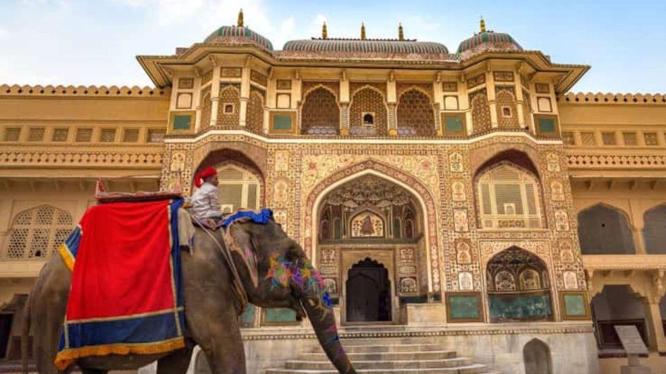 Private Jaipur 1 Day Tour/Amir Fort Elephant Rides Activity