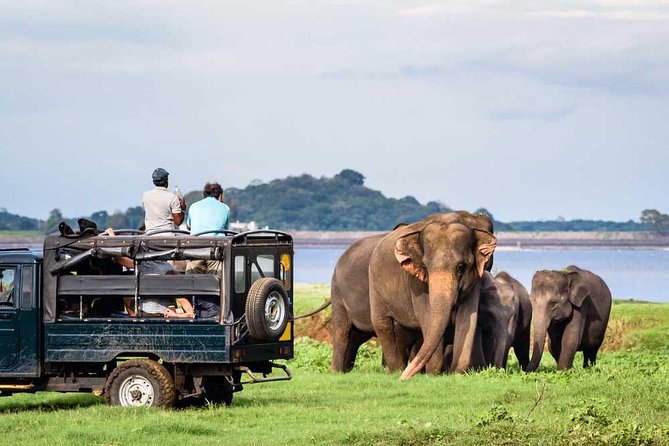 Private Jeep Safari to One of a Best National Park