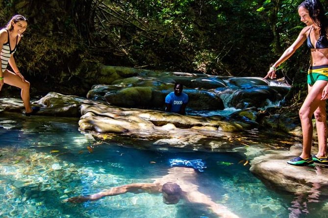 Private Mayfield Falls Waterfalls Tour [ Transportation ]