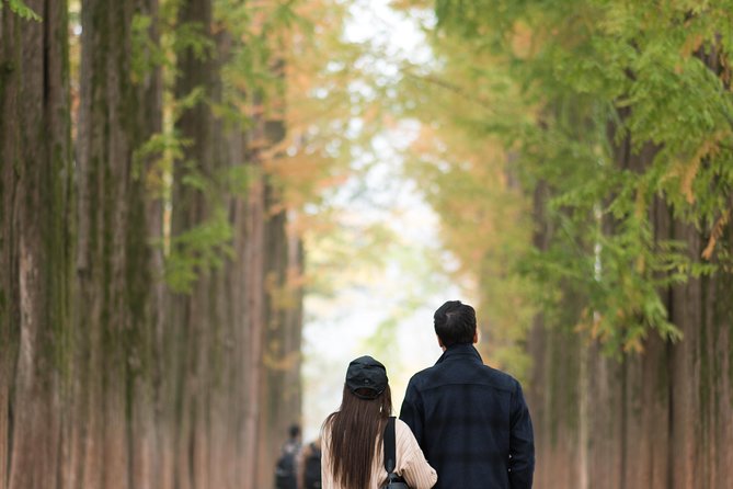 Private Nami Island Photo Shoot and Tour With a Photographer