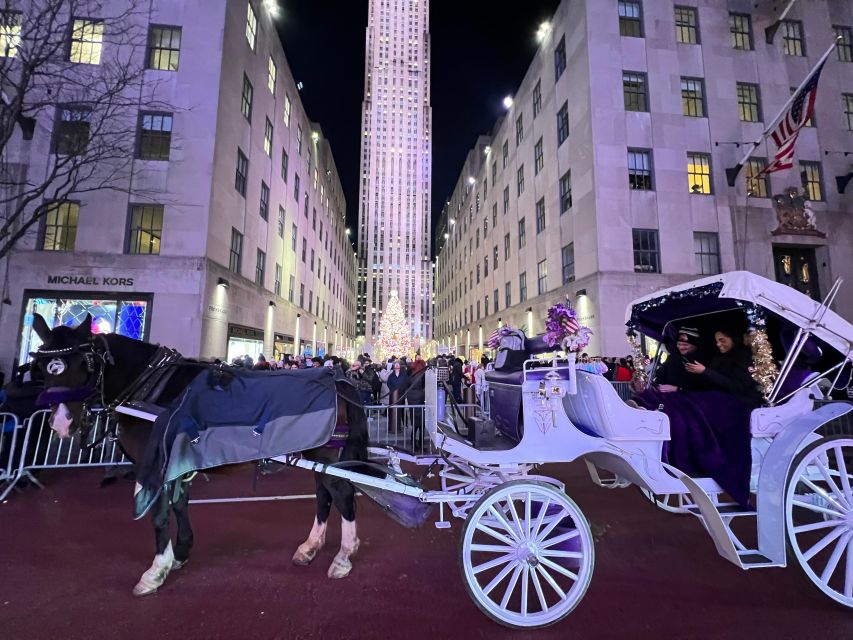 Private NYC Lights or Christmas Lights Horse Carriage Tour