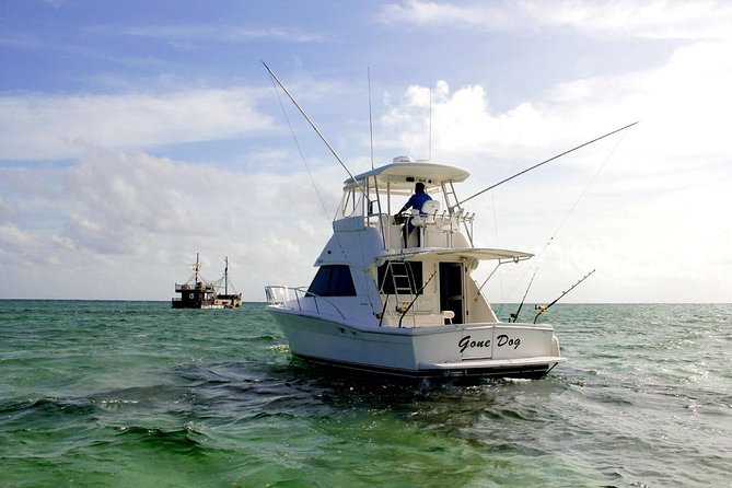 Private Punta Cana Six Hour Fishing Charter