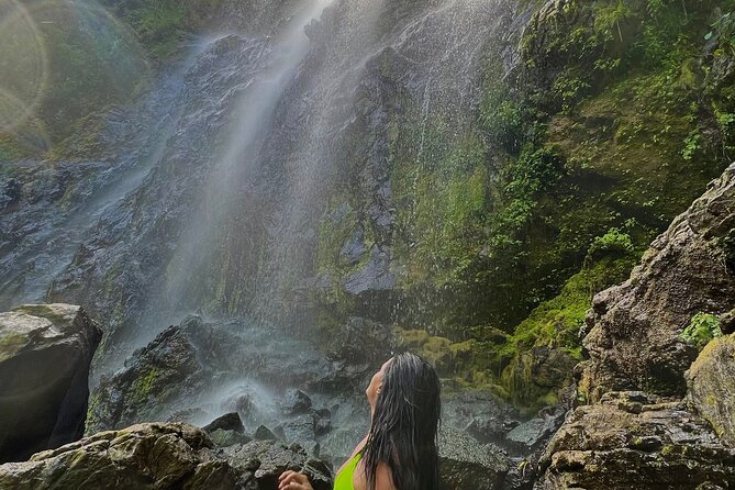 Private Rainforest Hike to Hidden Waterfall Tour With Transport