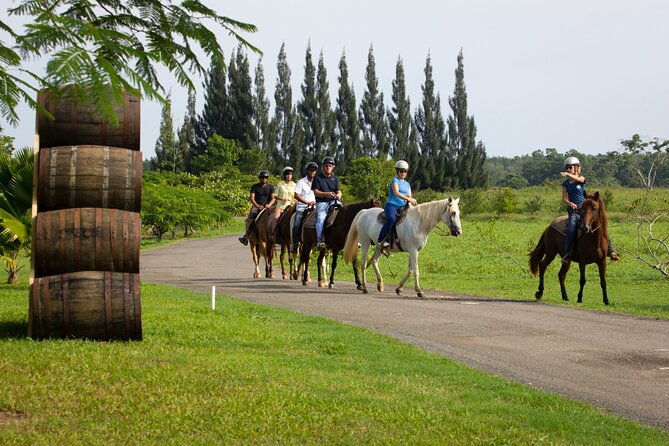 Private Ranch Horseback Tour in Carolina, Puerto Rico - Horseback Riding Experience