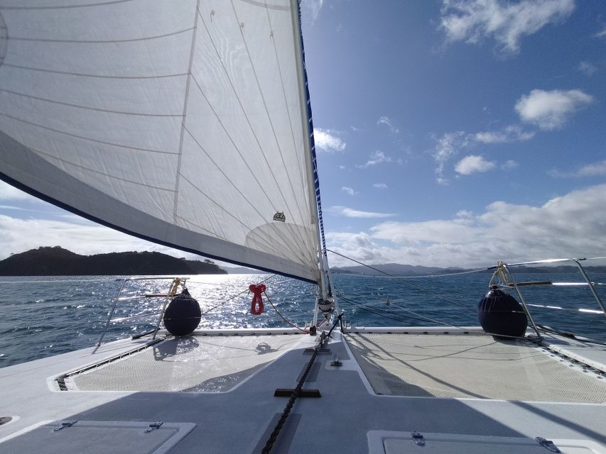 Private Sailing Charter | Bay of Islands | up to 19 People