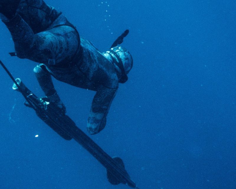 Private Sayulita Spearfishing: Inshore Adventure All Levels