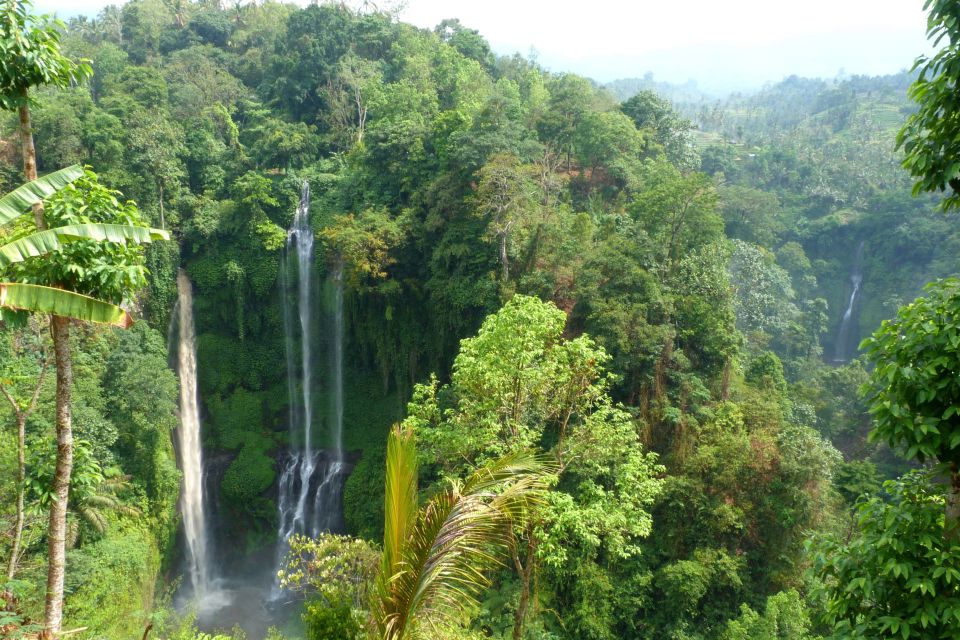 Private Sekumpul Waterfall Hiking Tour - Tour Details