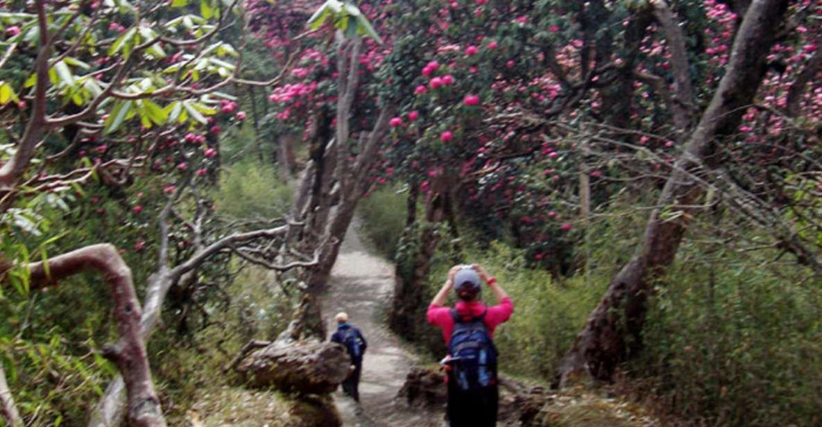 Private Shivapuri Day Hiking From Kathmandu