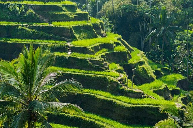 Private Shore Excursion: Customized Best of Bali Tour