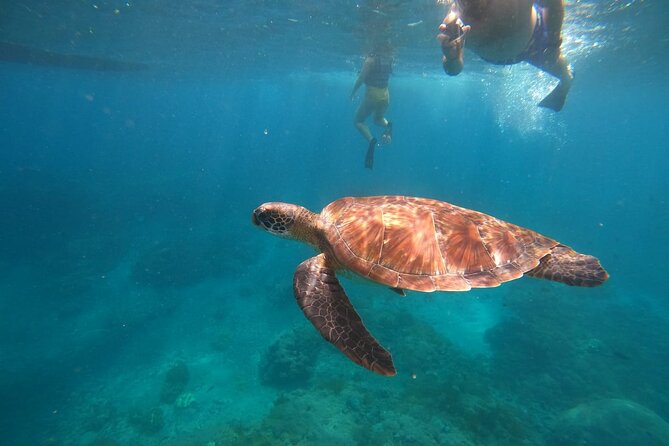 Private Snorkeling in Manta, Gamat & Crystal Bay at Nusa Penida