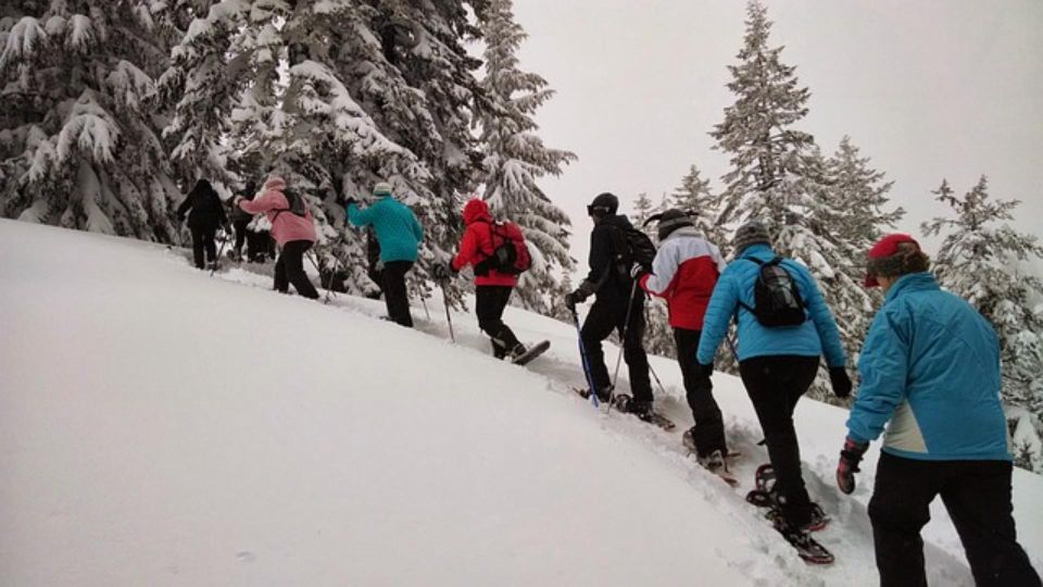 Private Snowshoeing Full Day