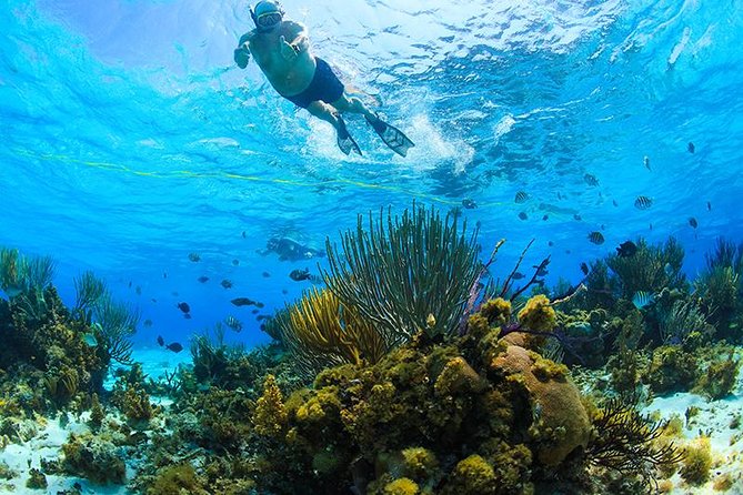 Private Stingray City and Snorkeling Half Day Charter for 6 Guest