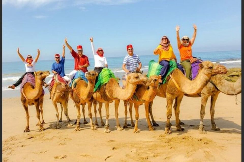 Private Tangier Tour From Estepona Including Camel & Lunch