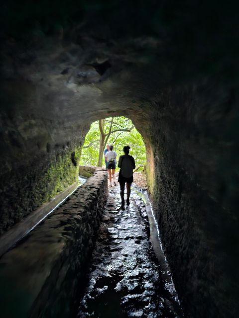 Private Tour: Caldeirao Verde Levada By Overland Madeira