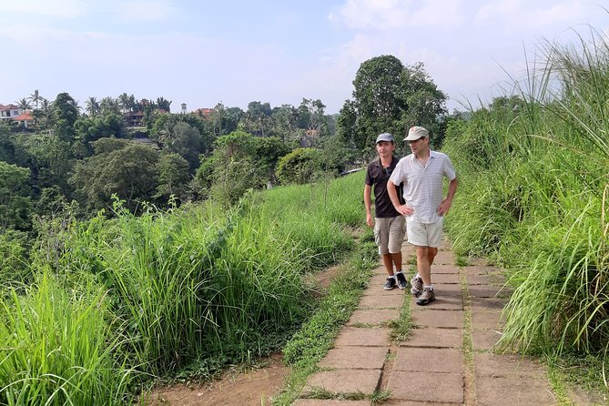 Private Tour: Campuhan Ridge Walk, Ubud Rice Terrace & Ubud Palace