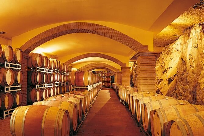 Private Tour: Chianti Winery, Montefioralle, and Greve in Chianti