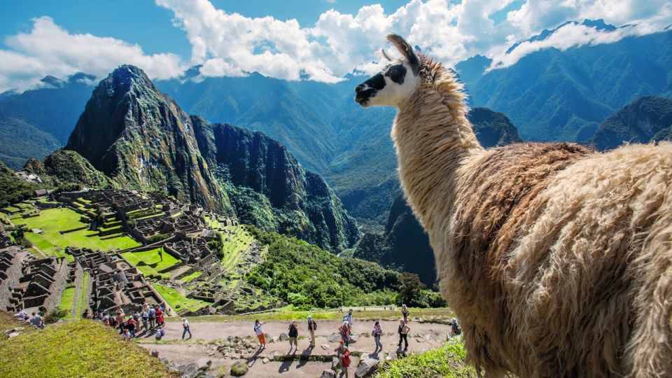 Private Tour Cusco – Queswachaka and Machu Picchu || 8D – 7N