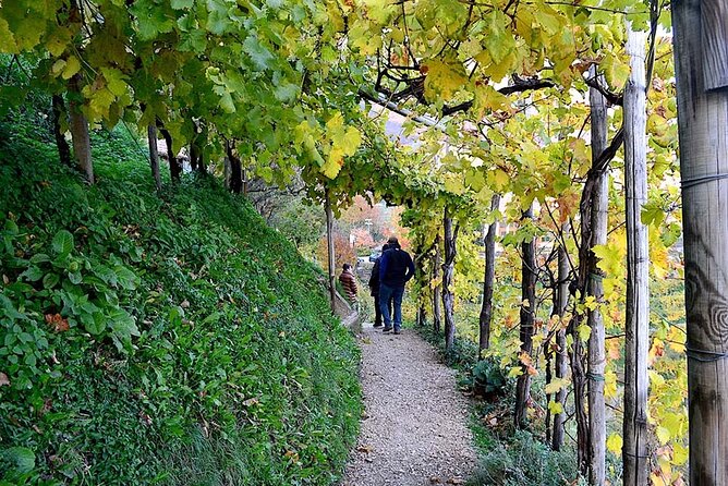 Private Tour: Prosecco Wine Tasting Day Trip With Lunch From Venice - Overview of the Tour