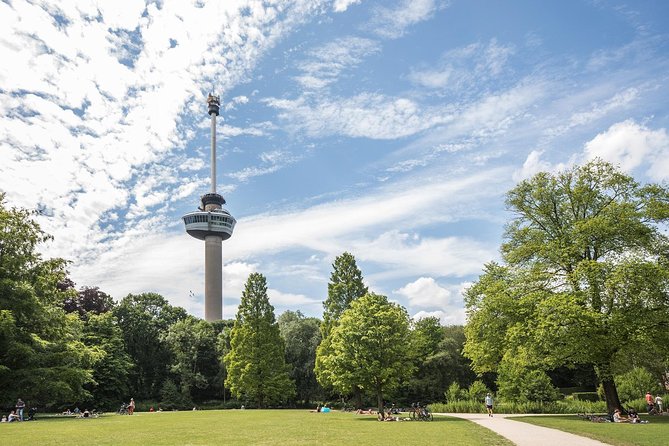 Private Tour: Rotterdam Walking Tour Including Harbor Cruise