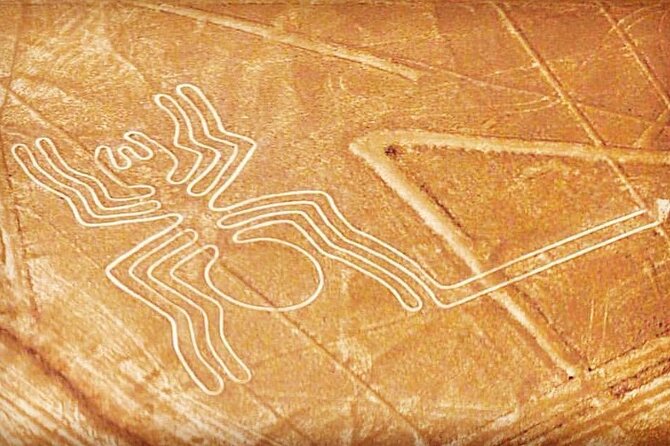 Private Tour to the Astonished Nazca Lines and Huacachina Oasis