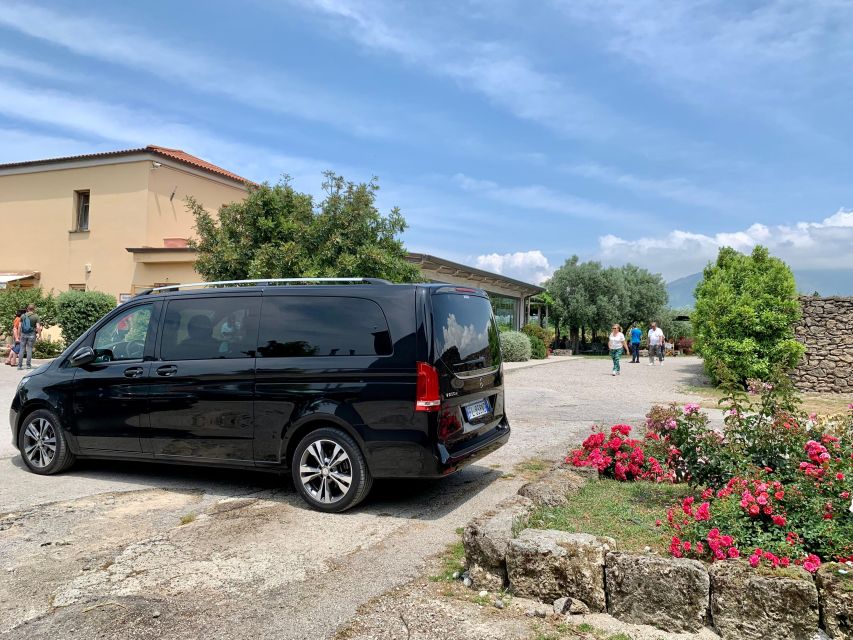 Private Transfer From Paestum Archaeological Park to Salerno