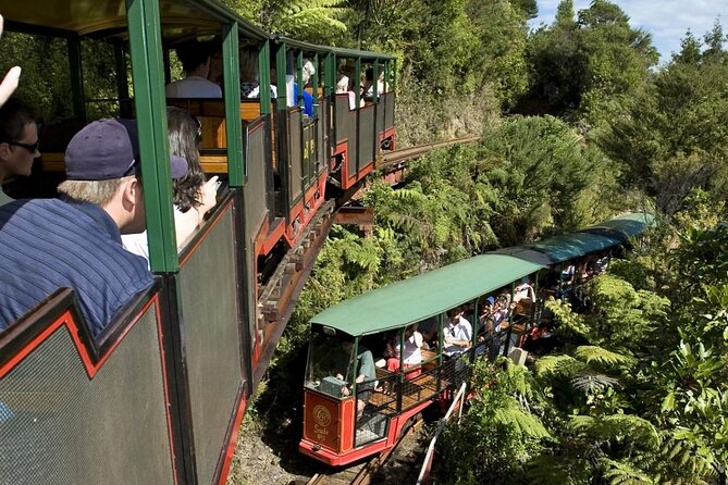 Private Trip to Coromandel - Overview of the Coromandel Trip