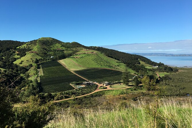 Private Vineyard Bush Walk Tour in Waiheke Island