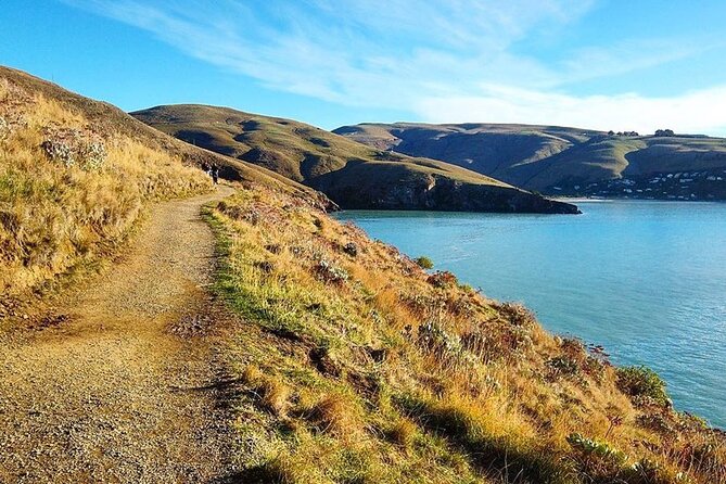 Private Walking Tour From Christchurch - Lyttelton & Godley Head - Highlights of the Experience