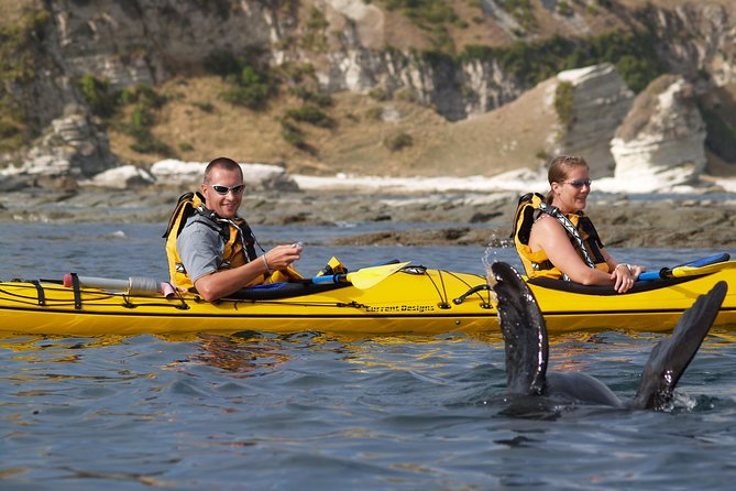 Private Wildlife Kayaking Tour – Kaikoura