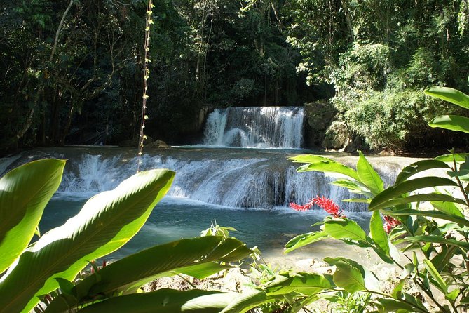 [Private] YS Falls From Negril – Entrance Fees + Lunch Included