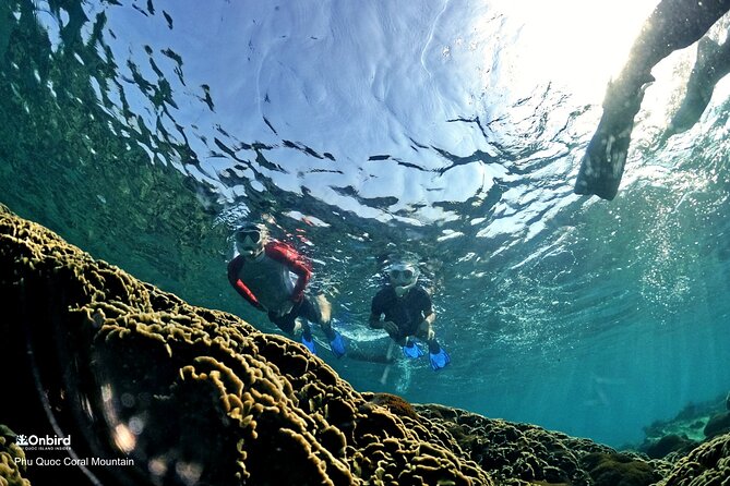 PROFESSIONAL SNORKELING to Explore Hidden Coral Spots (MAX 9 PAX)