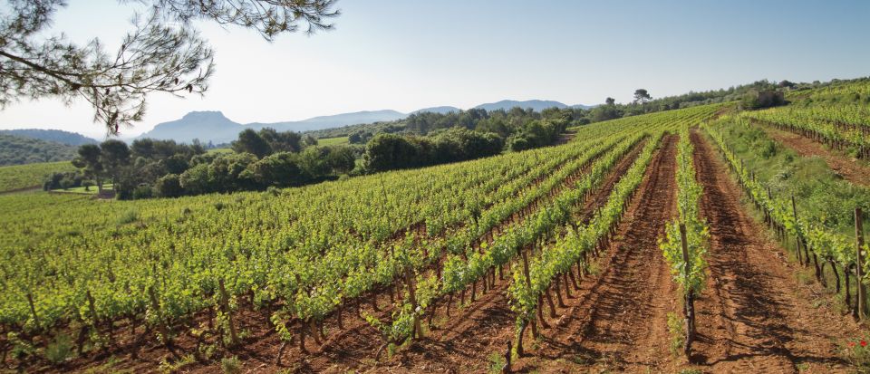 Provence Wine Tour - Private Tour From Nice - Tour Overview and Pricing