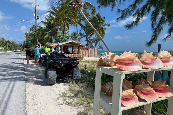 Providenciales ATV Adventure