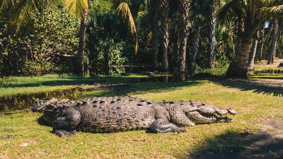 Puerto Escondido: Oaxaca Coast Wildlife Ecotour