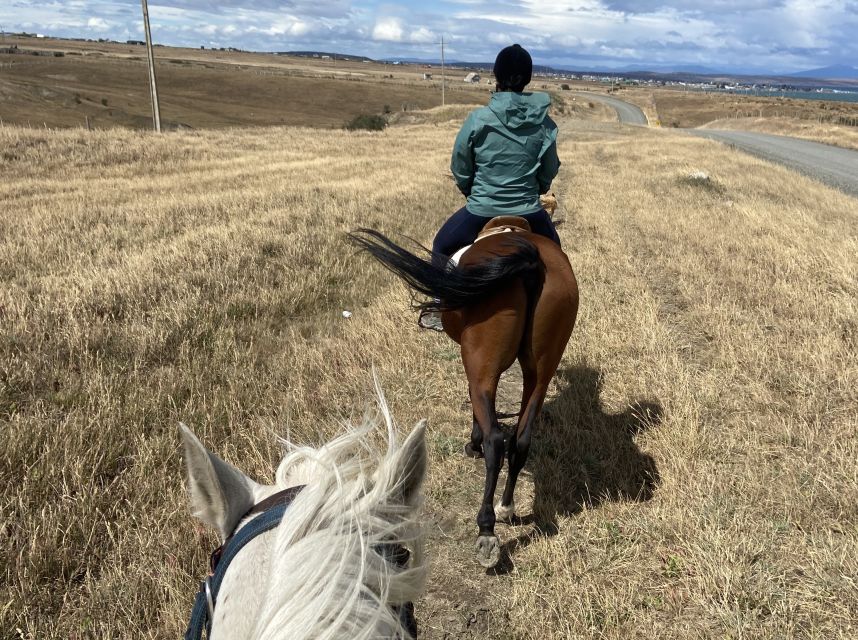 Puerto Natales: Horseback Riding With Horse Connection