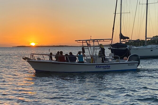 Puerto Rico: Bio Bay Swim and Sunset Charter & Late Night Tour - Tour Overview and Highlights