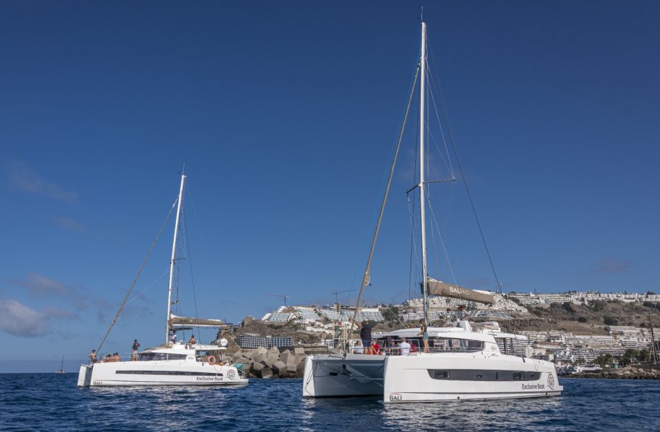 Puerto Rico De Gran Canaria: Private Catamaran Charter