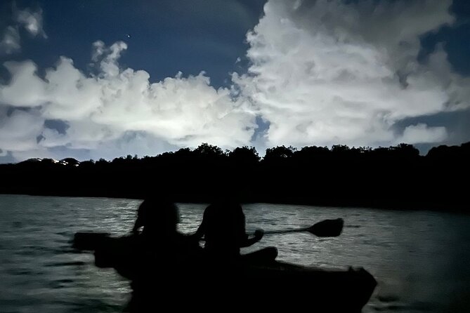 Puerto Rico: Kayaking in Magical Bioluminescent Bay