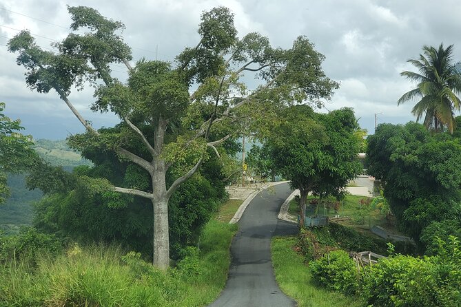 Puerto Rico Tour to El Yunque Rainforest Hiking to Waterfall