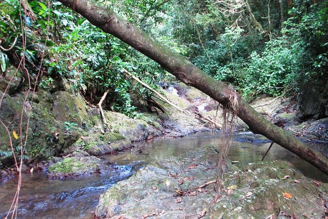 Puerto Rico Waterfall Hiking Tour: Discover Hidden Gems - Tour Overview