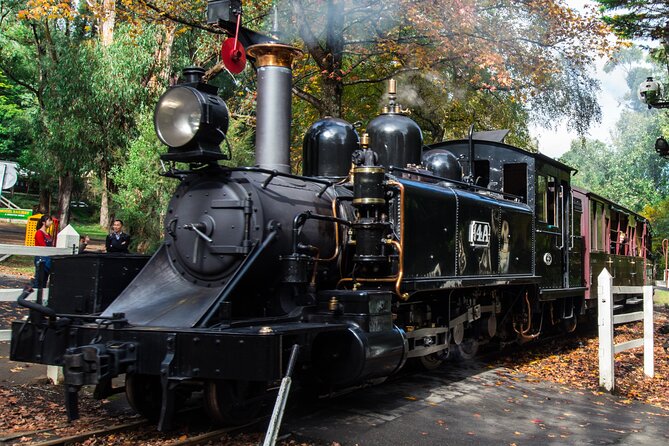 Puffing Billy And Healesville Sanctuary Scenic Tour