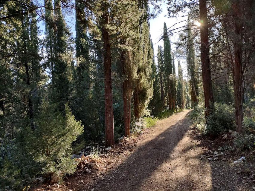 Puglia/Bari: Bike Tour in Forest & Apulian Pizza Tasting