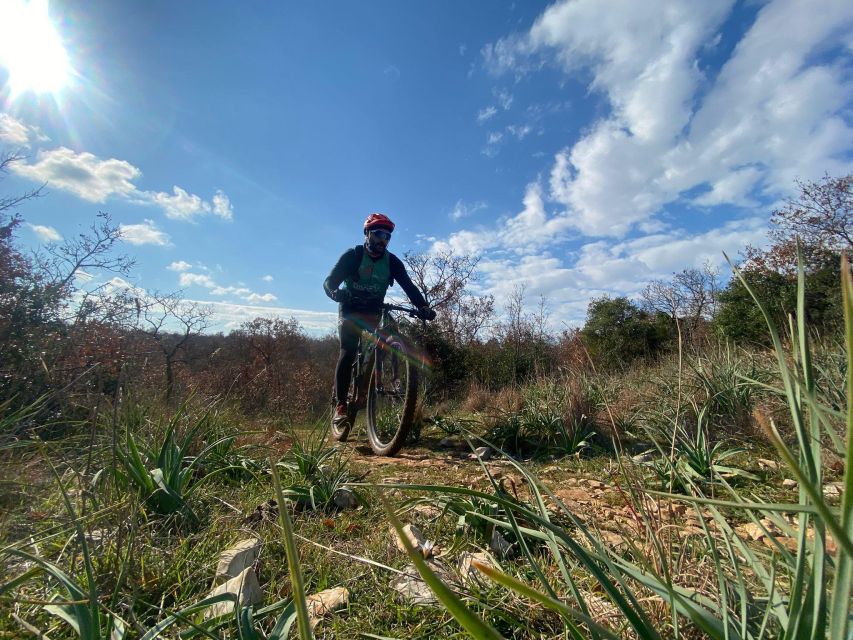 Puglia/Bari: Rent a Mountain Bike & Explore Puglia