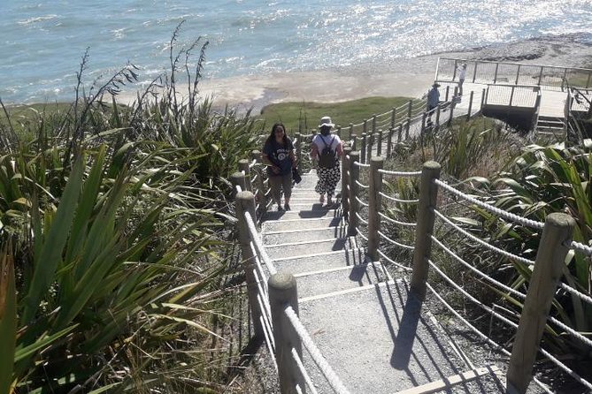 Punakaiki Blow Holes & Pancake Rocks Scenic Tour